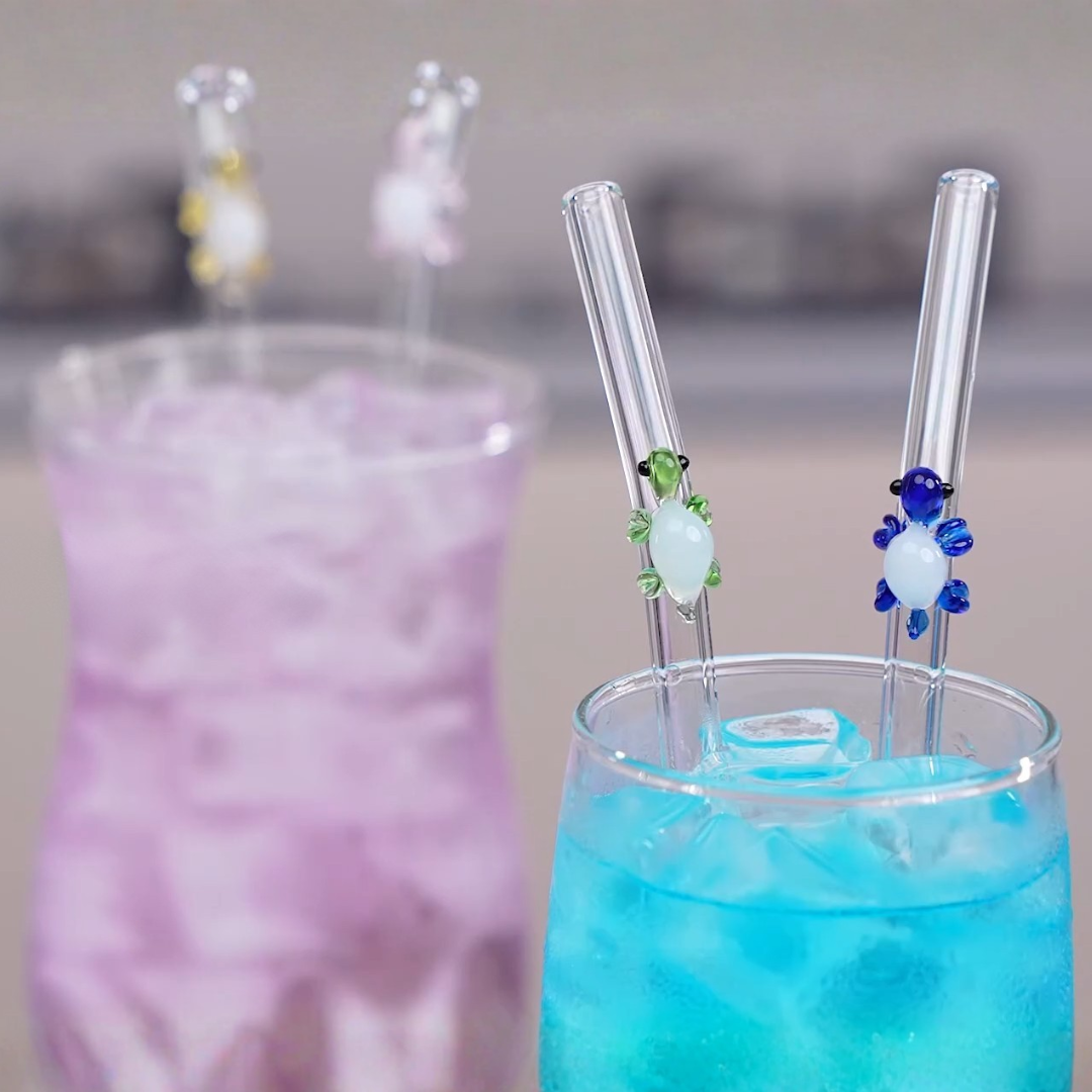 Glass Turtle Straws + Straw Care Brush