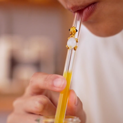 Glass Turtle Straws + Straw Care Brush